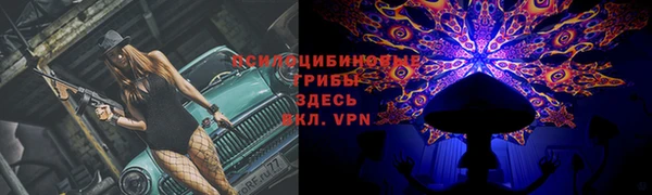 ECSTASY Арсеньев