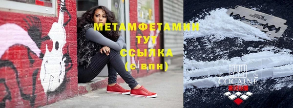 прущие грибы Щучье