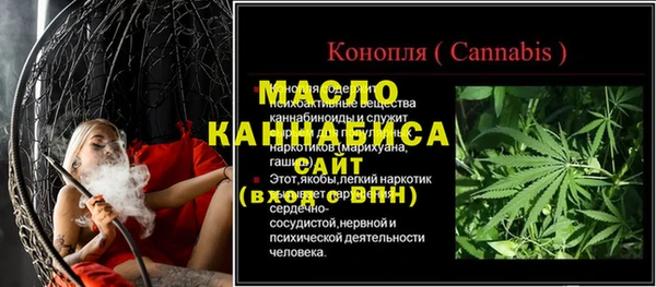 амф Щигры