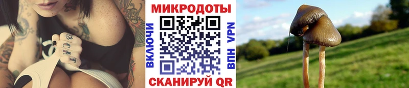 Галлюциногенные грибы Magic Shrooms  Белозерск 