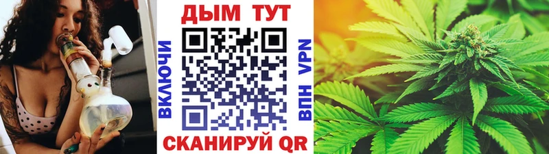 дарнет шоп  Белозерск  Шишки марихуана Amnesia 